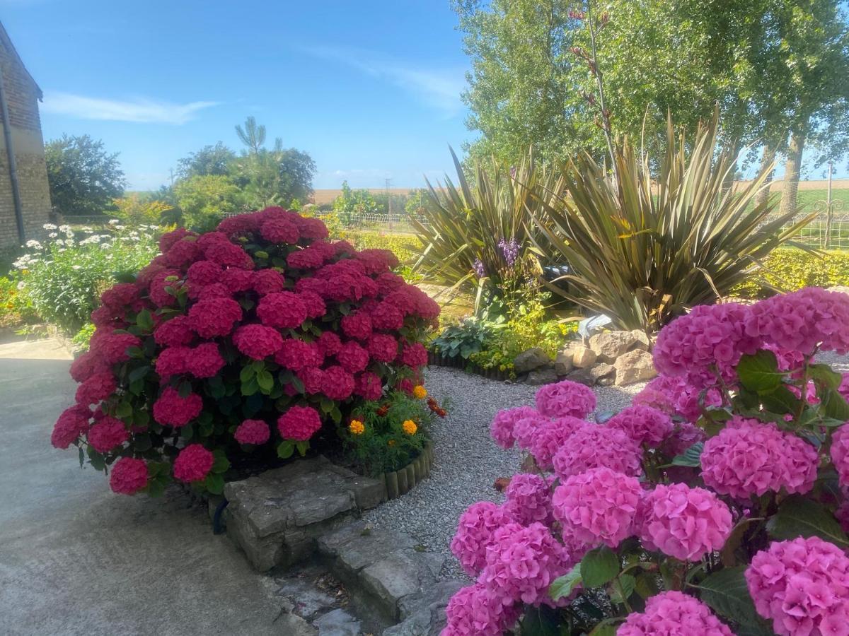 Ferme "Les Flaquettes" Bed & Breakfast Guînes Екстериор снимка